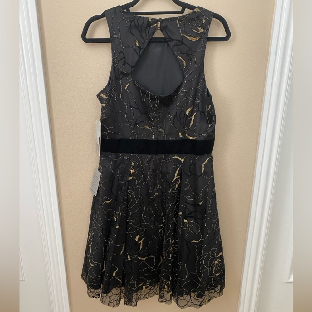 Eliza J Black & Gold Mesh Dress